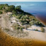 EOCENE ECHINOIDS – Levy County, Florida