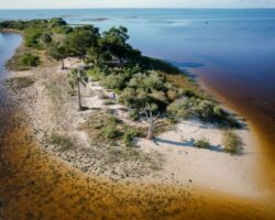 EOCENE ECHINOIDS Levy County, Florida
