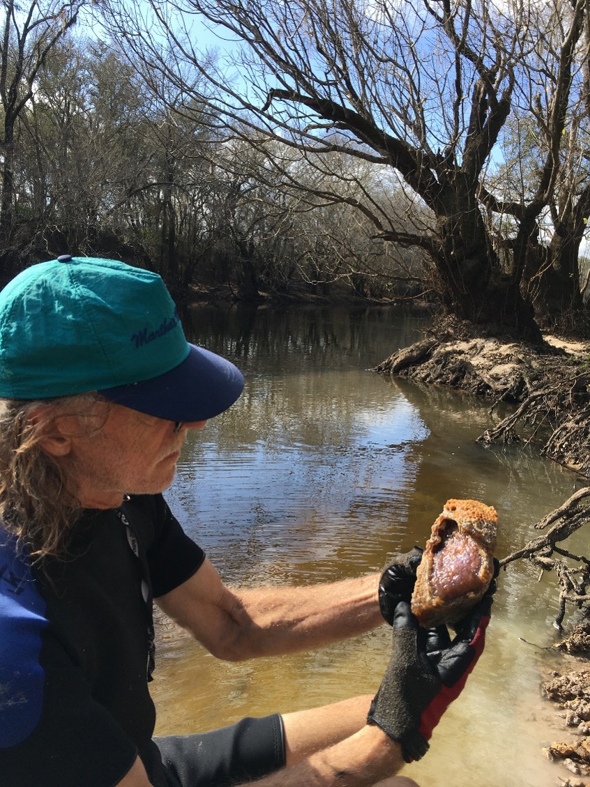 Jon pulls out a nice specimen at Site #3.
