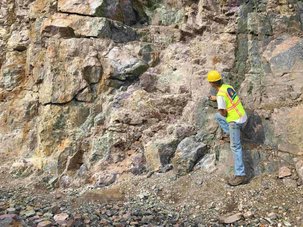 The Julie Vein The Julie Vein