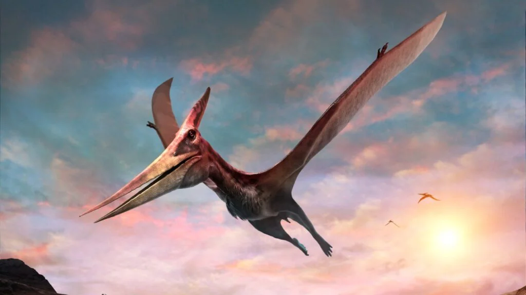 Airplanes and Pterodactyles