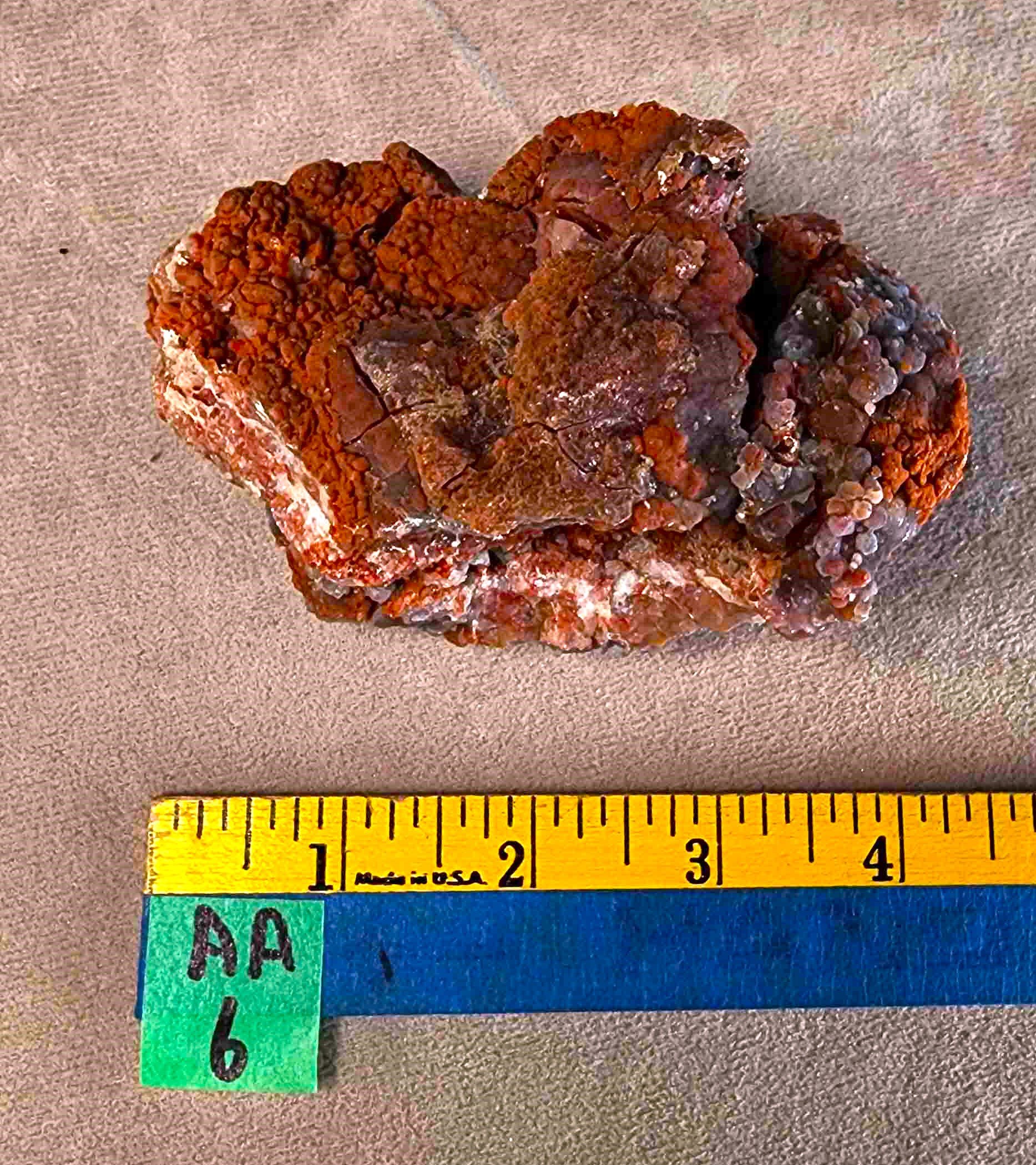 Agatized Algae (AA6) - Image 4