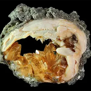 Crystal Clam Festival/One Day (03/19/2026)