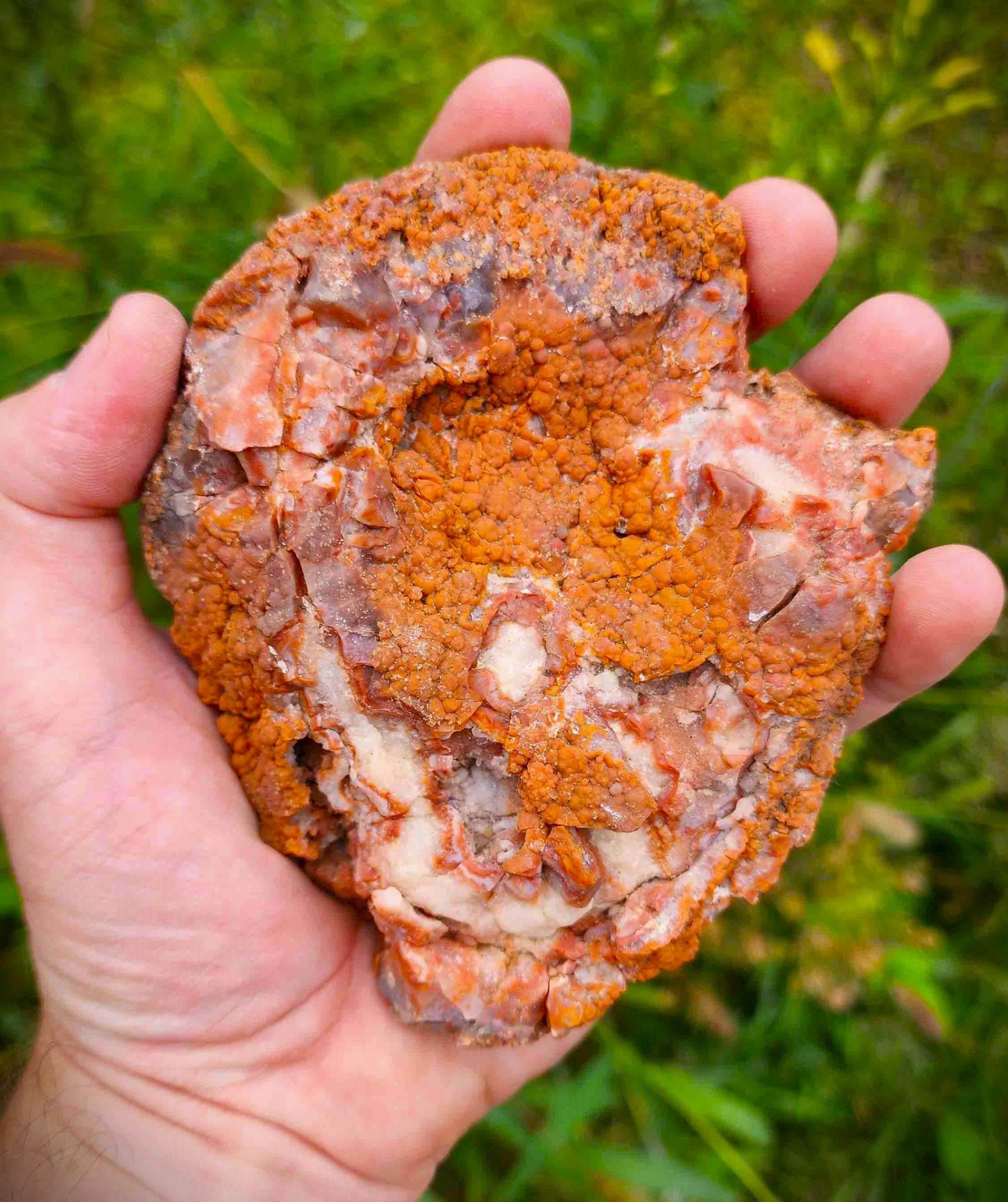 Agatized Algae (AA2) - Image 2