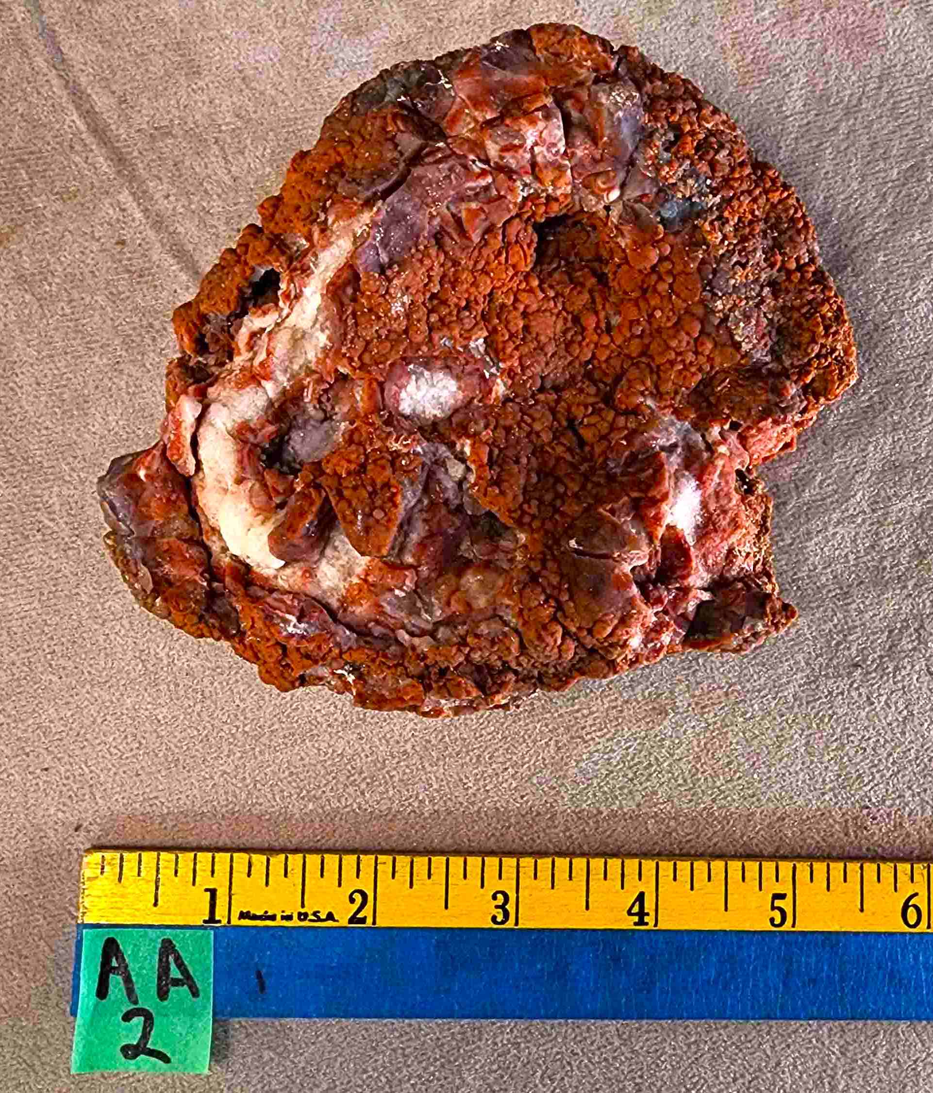 Agatized Algae (AA2) - Image 3